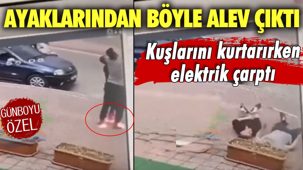 Kuşlarını kurtarırken elektrik çarptı! Ayaklarından böyle alev çıktı