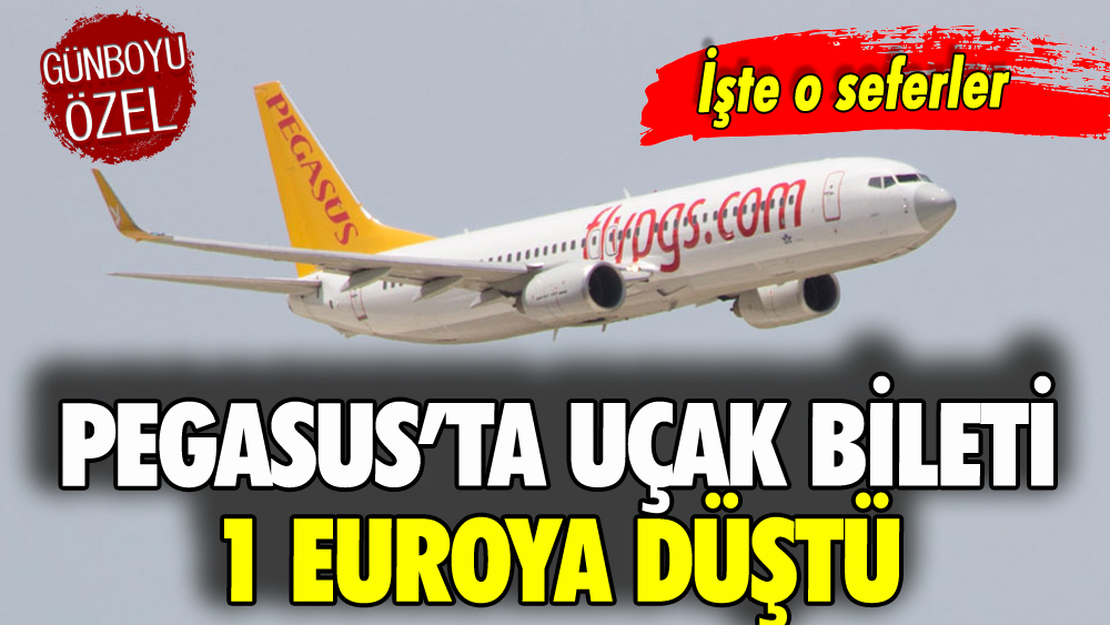 Pegasus'ta uçak biletleri 1 euroya düştü! İşte kampanyalı Pegasus seferleri