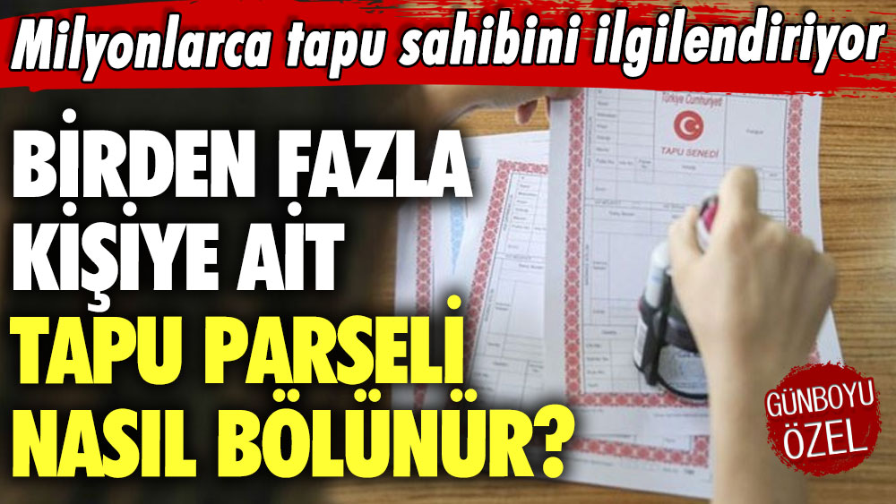 Birden fazla kişiye ait tapu parseli nasıl bölünür? Milyonlarca tapu sahibini ilgilendiriyor