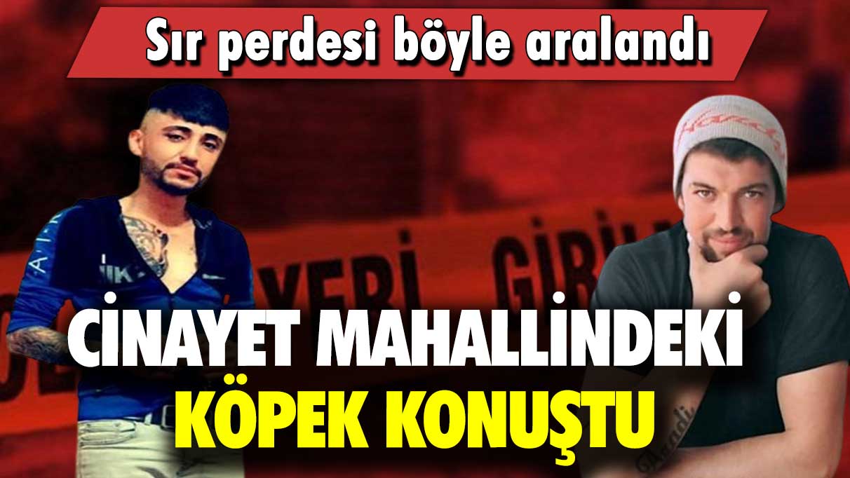 Sır perdesi böyle aralandı: Cinayet mahallindeki köpek konuştu