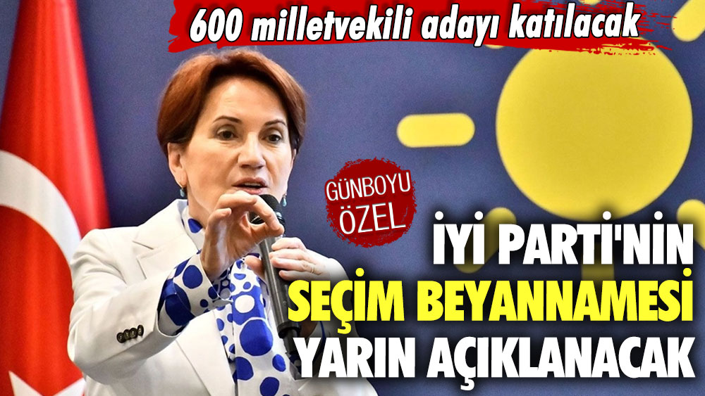 İYİ Parti'nin seçim beyannamesi yarın açıklanacak! 600 milletvekili adayı katılacak