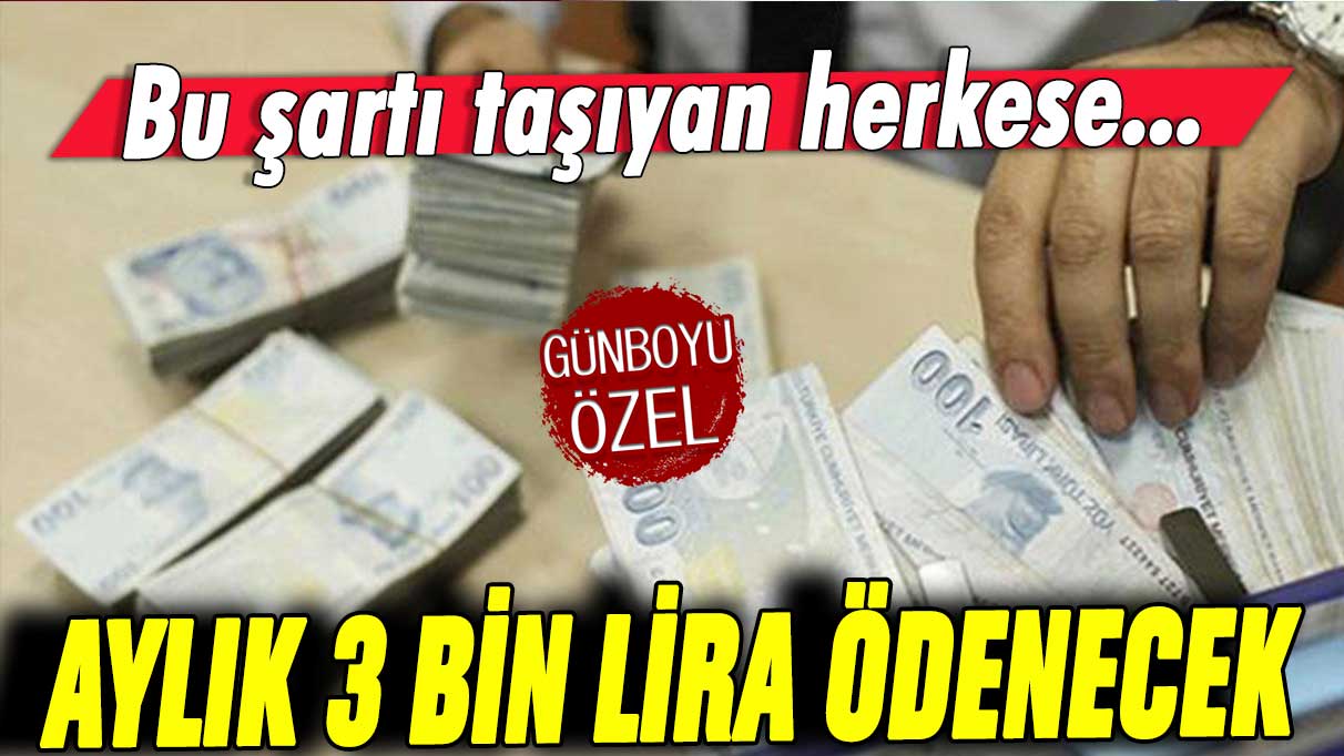 Bu şartı taşıyanlara aylık 3 bin lira destek!