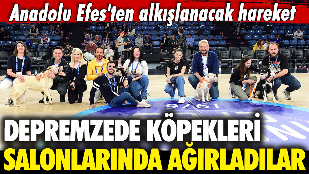 Anadolu Efes'ten alkışlanacak hareket: Depremzede köpekleri salonlarında ağırladılar