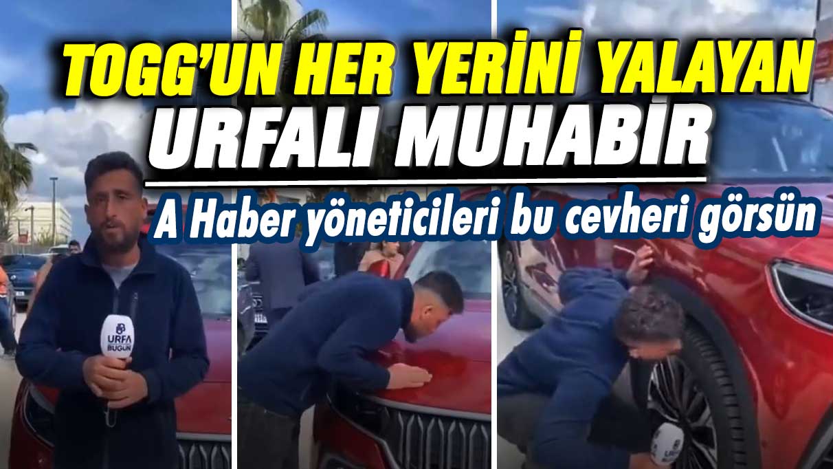 TOGG’un her yerini yalayan Urfalı Muhabir! A Haber yöneticileri bu cevheri görsün