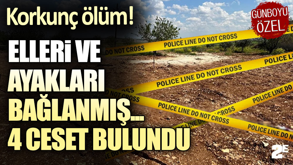 Korkunç ölüm! Elleri ve ağızları bağlı 4 ceset buldu