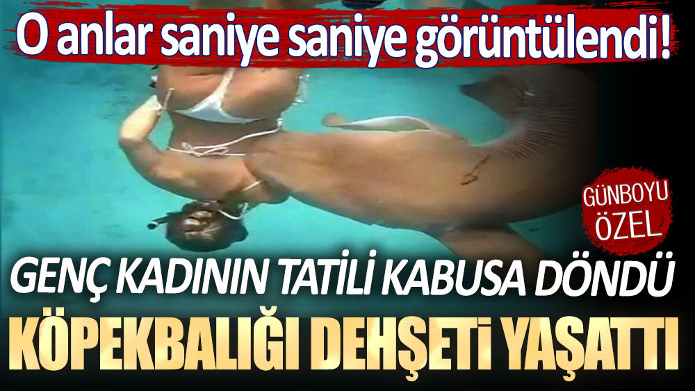 Genç Kadının tatili kabusa döndü: Köpekbalığı dehşeti yaşattı! O anlar saniye saniye görüntülendi