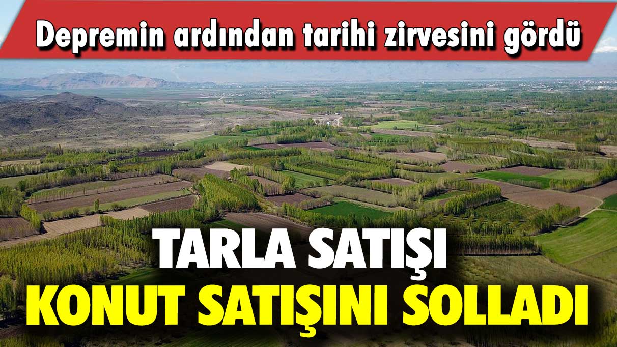 Tarla satışı konut satışını solladı: Depremin ardından tarihi zirvesini gördü