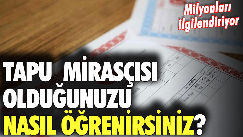 Tapu mirasçısı olduğunuzu nasıl öğrenebilirsiniz?