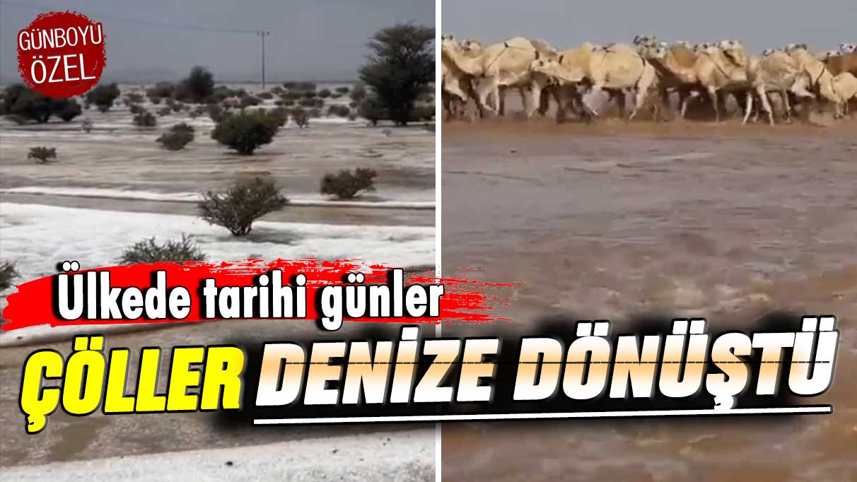 Suudi Arabistan’da tarihi günler! Çöller denize dönüştü