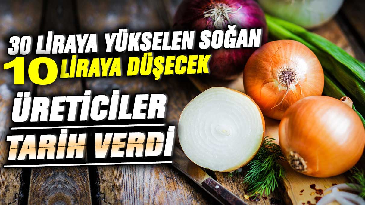 Kilosu 30 liraya yükselen soğan 10 liraya düşecek! Üreticiler tarih verdi