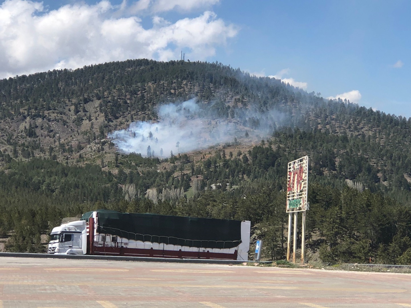 Konya'da ormanlık alanda yangın!