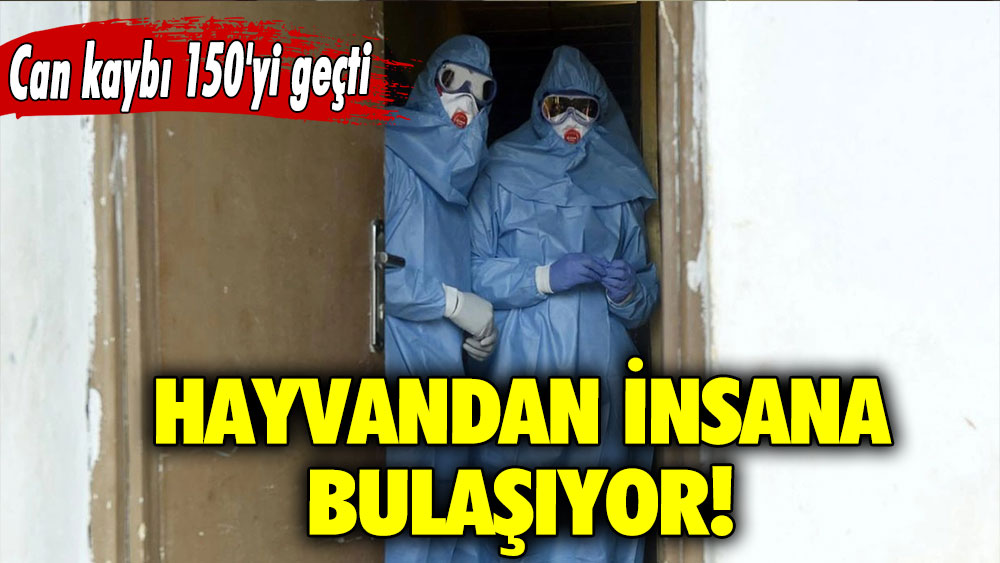 Hayvandan insana bulaşıyor!  Can kaybı 150'yi geçti