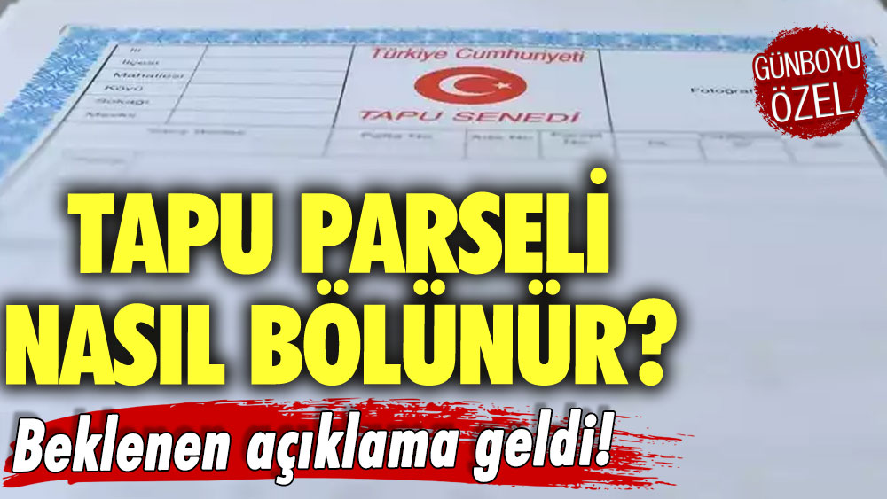 Milyonlarca tapu sahibini ilgilendiriyor! Tapu için beklenen açıklama geldi! Tapu parseli nasıl bölünür?