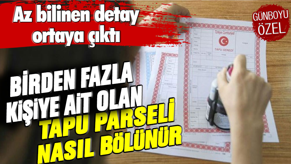 Birden fazla kişiye ait tapu parseli nasıl bölünür? İşte az bilinen detay