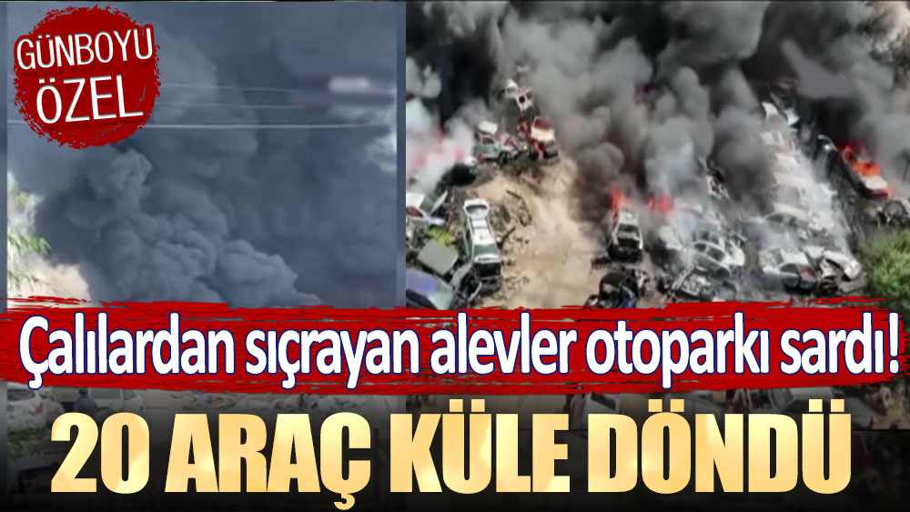 Çalılardan çıkan yangın, otoparka sıçradı: 20 araç küle döndü