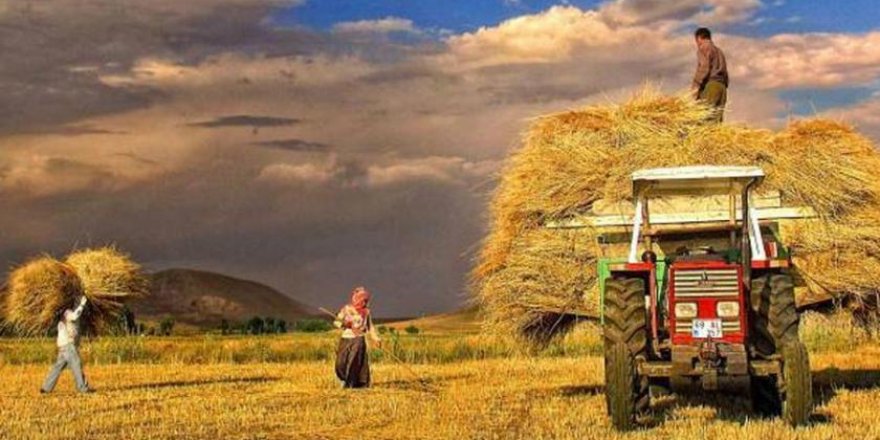 Çiftçi, 16 yıldır toprağa küstü!