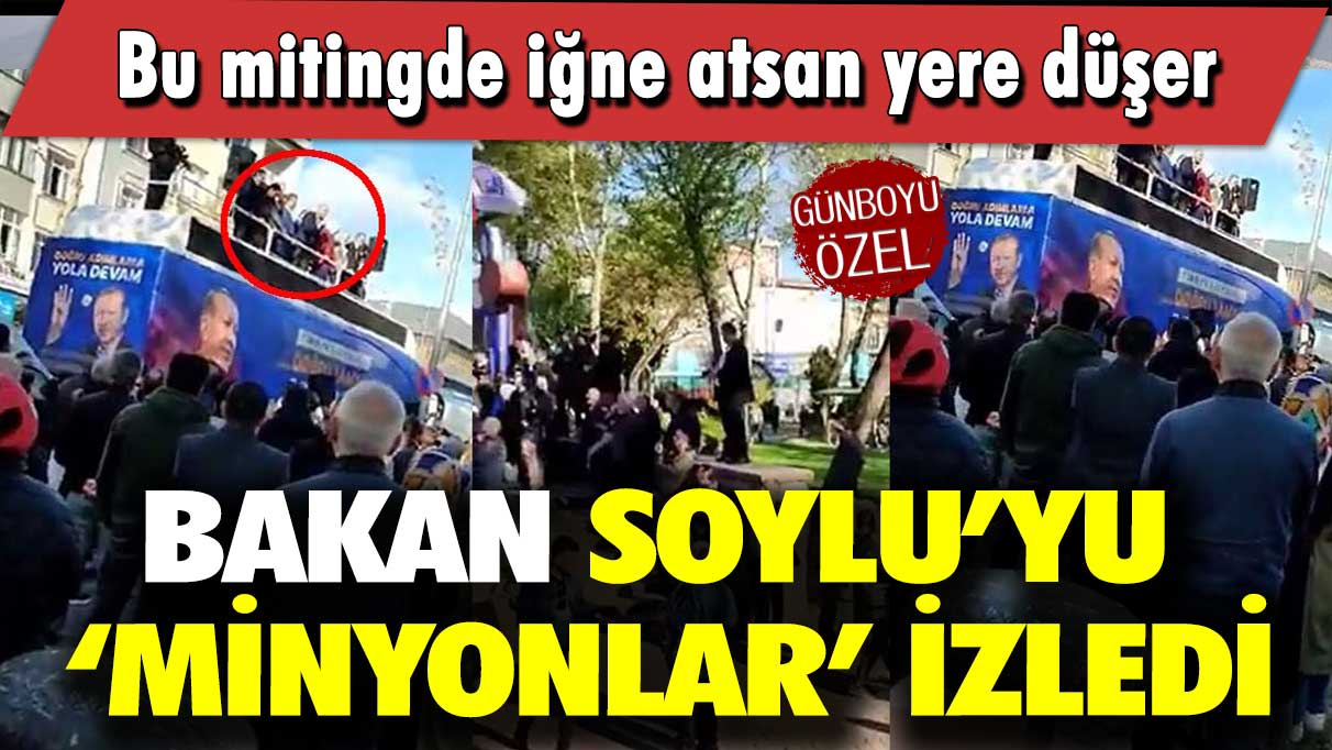 Bakan Soylu’yu minyonlar izledi: Bu mitingde iğne atsan yere düşer