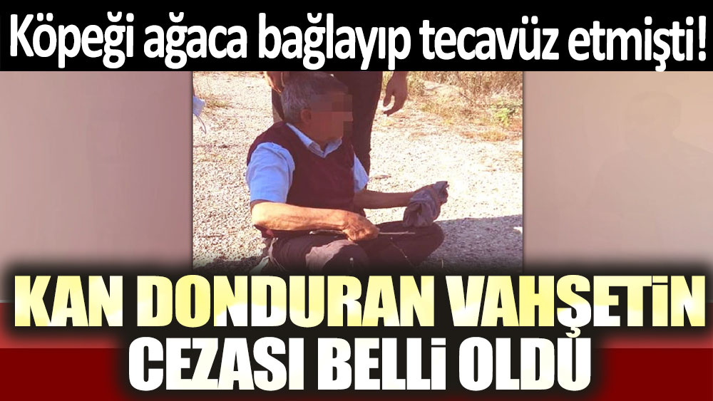 Köpeği ağaca başlayıp tecavüz etmişti: Kan donduran vahşetin cezası belli oldu