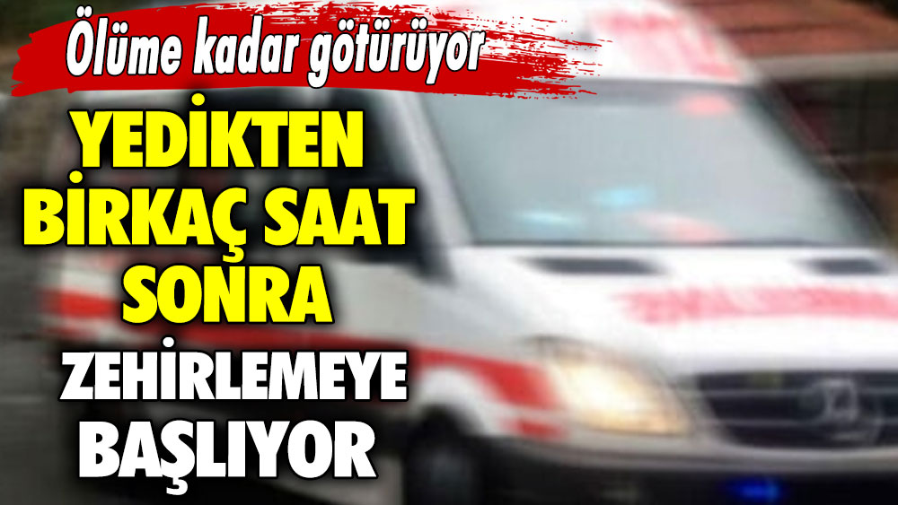 Yedikten birkaç saat sonra zehirlemeye başlıyor! Ölüme kadar götürüyor