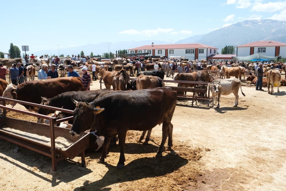 Şap nedeniyle kapatılmıştı: Yeniden açıldı!