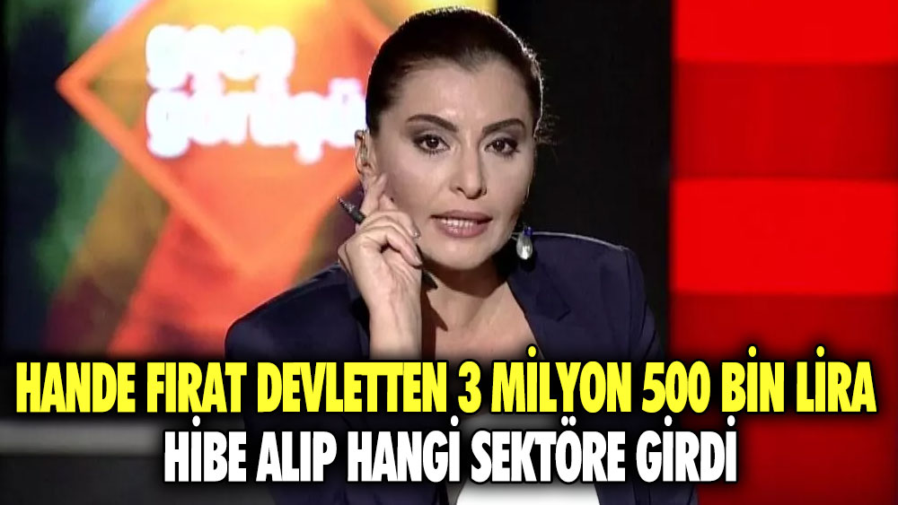 Hande Fırat devletten 3 milyon 500 bin lira hibe alıp hangi sektöre girdi