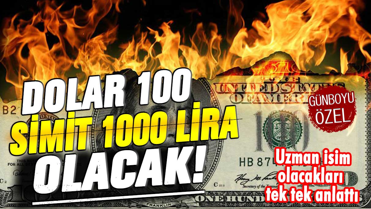 Uzman isimden korkutan uyarı! Dolar 100 simit 1000 lira olacak