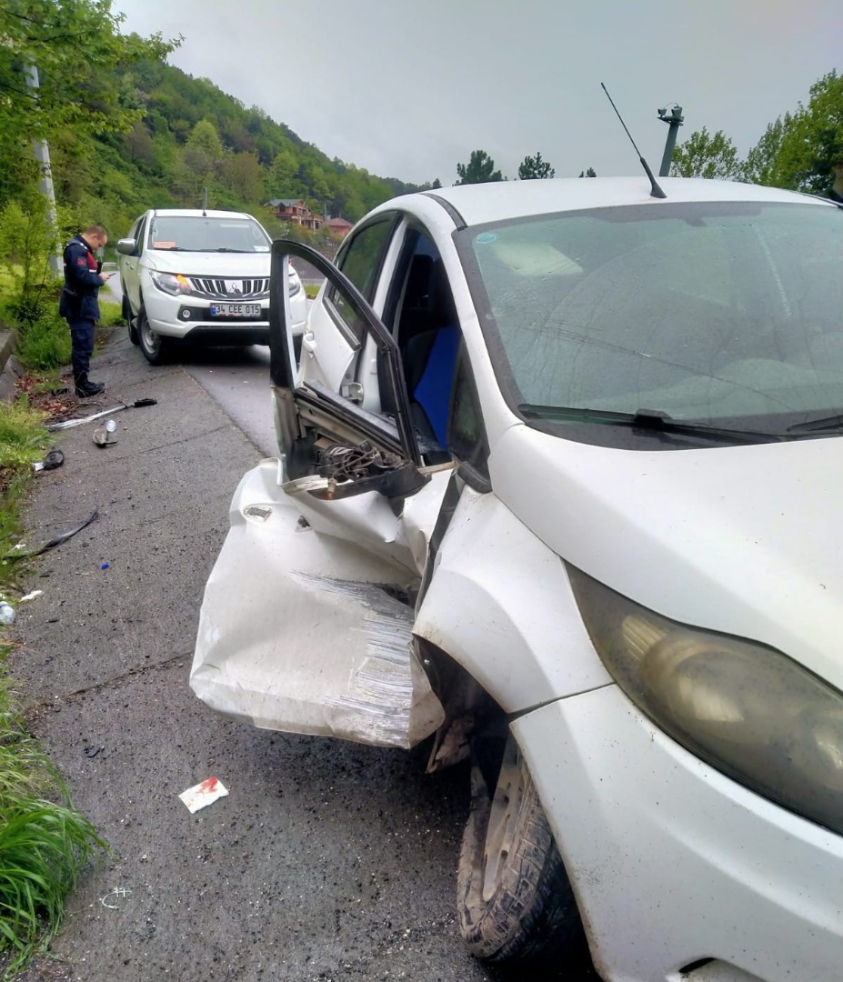 Otomobil elektrik aydınlatma direğine çarptı; 2 kişi yaralı