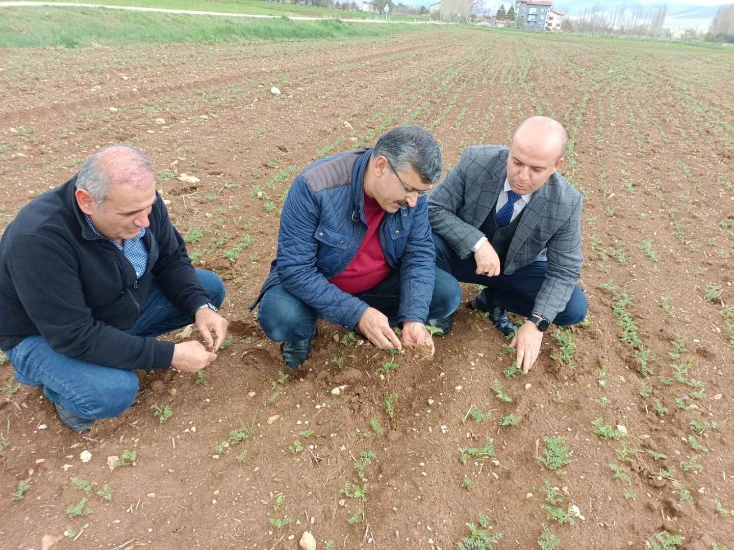 Hüyük’te araziler yağışlarla bereketlendi