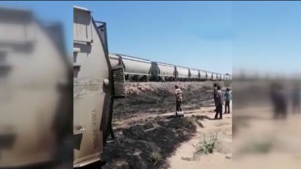 Yük treni raydan çıktı, çalılık alan alev aldı