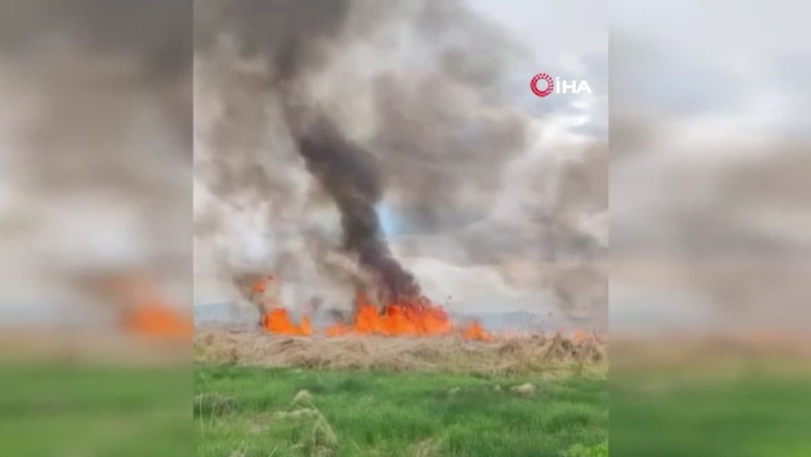 Van’da sazlık alanda yangın paniği!