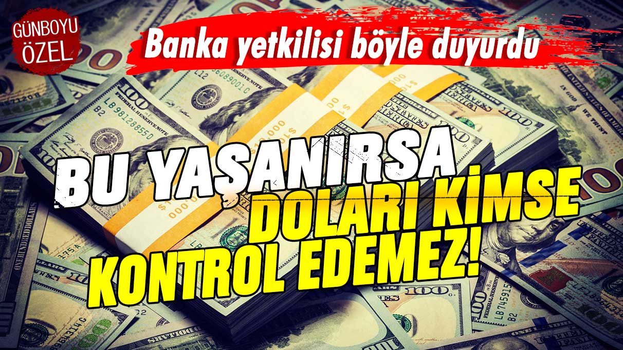 Banka yetkilisi böyle duyurdu: Bu yaşanırsa doları kimse kontrol edemez