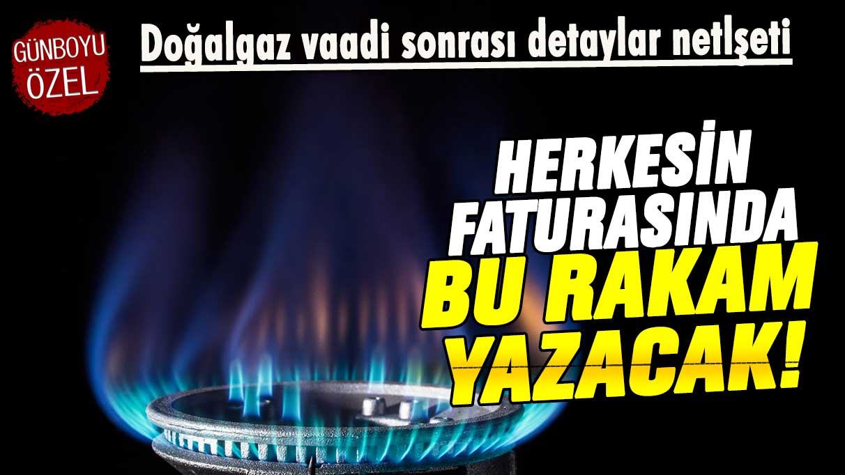 Doğalgaz vaadi sonrası detaylar ortaya çıktı: Bu ay herkesin faturasında bu rakam yazacak!