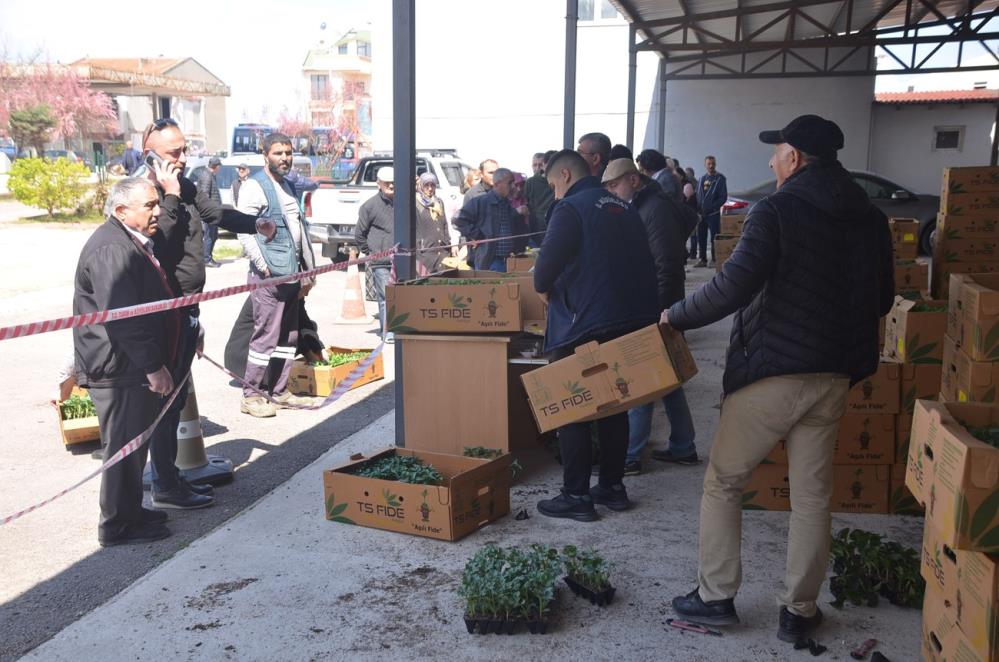 Sinop'ta çiftçilere sebze fidesi dağıtıldı