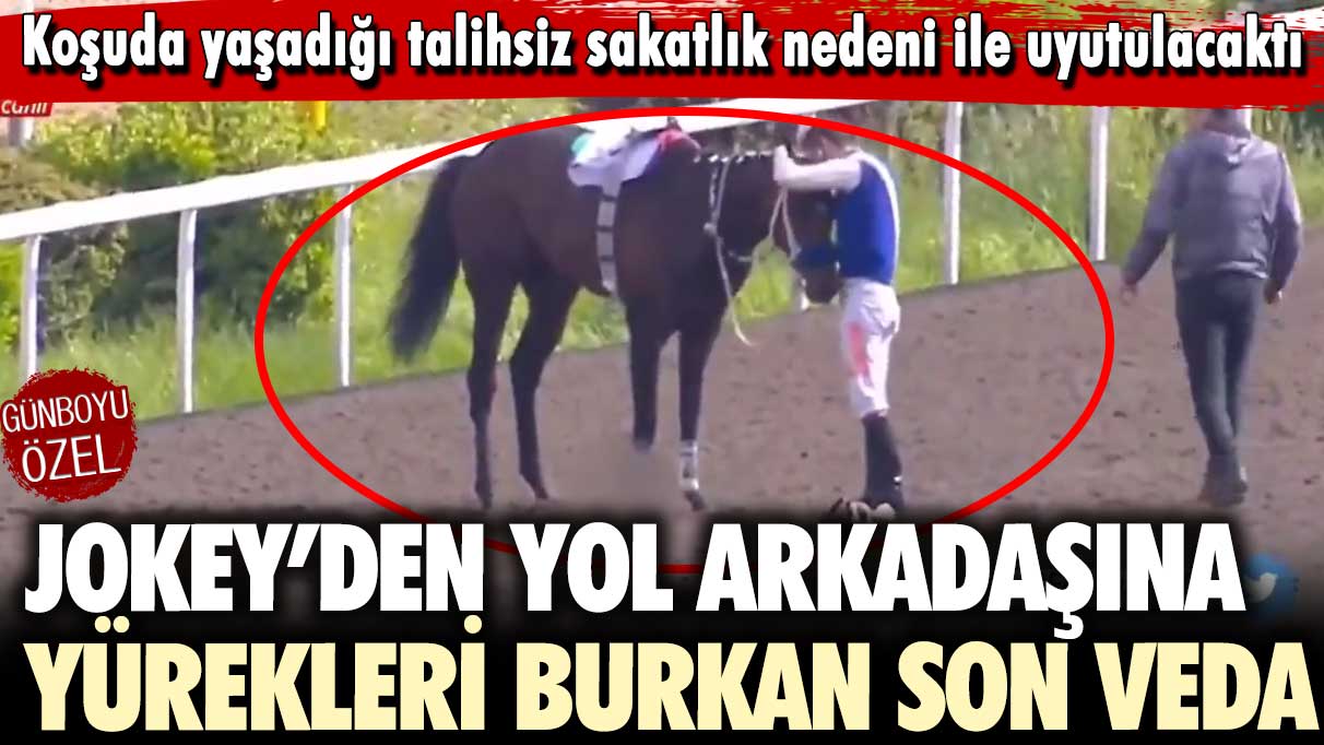 Jokey Ayhan Kurşun'un sakatlandığı için uyutulacak olan at ile yaşadığı son veda gündem oldu