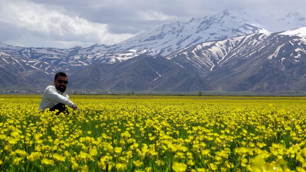 Hakkari'de sarı çiçekli kartpostallık görüntü