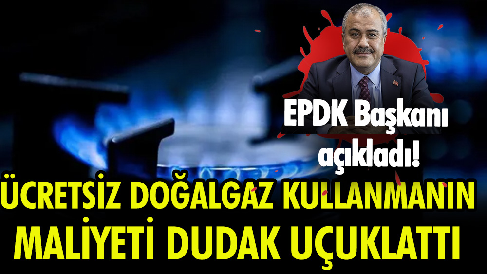 EPDK Başkanı Yılmaz: Ücretsiz doğal gaz kullanımının maliyetini açıkladı