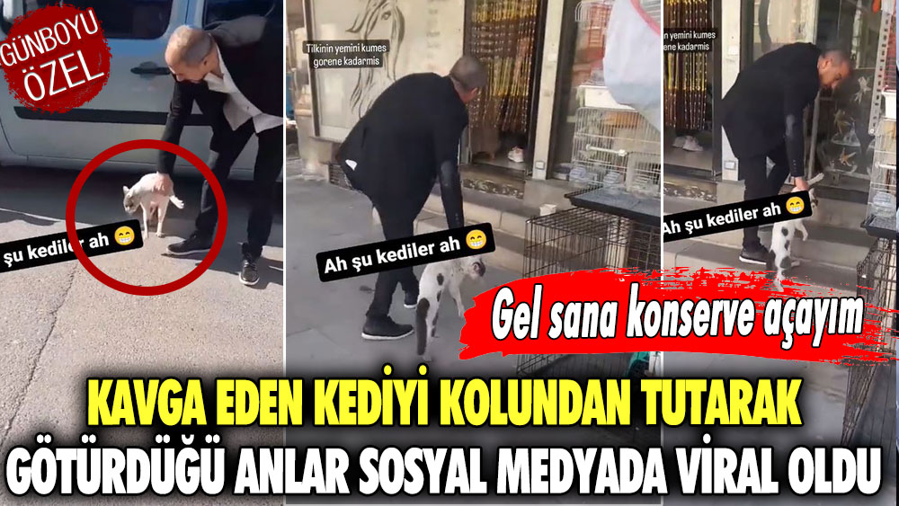 Kavga eden kediyi kolundan tutarak götürdüğü anlar sosyal medyada viral oldu! Gel sana konserve açayım