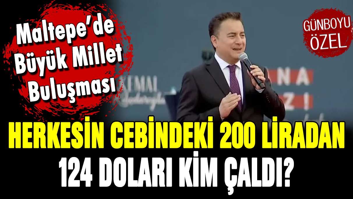 Ali Babacan: ''Herkesin cebindeki 200 liradan 124 doları kim çaldı?''