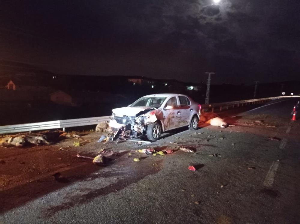 Elazığ'da araç sürüye daldı: 25 koyun öldü, 2 kişi yaralandı