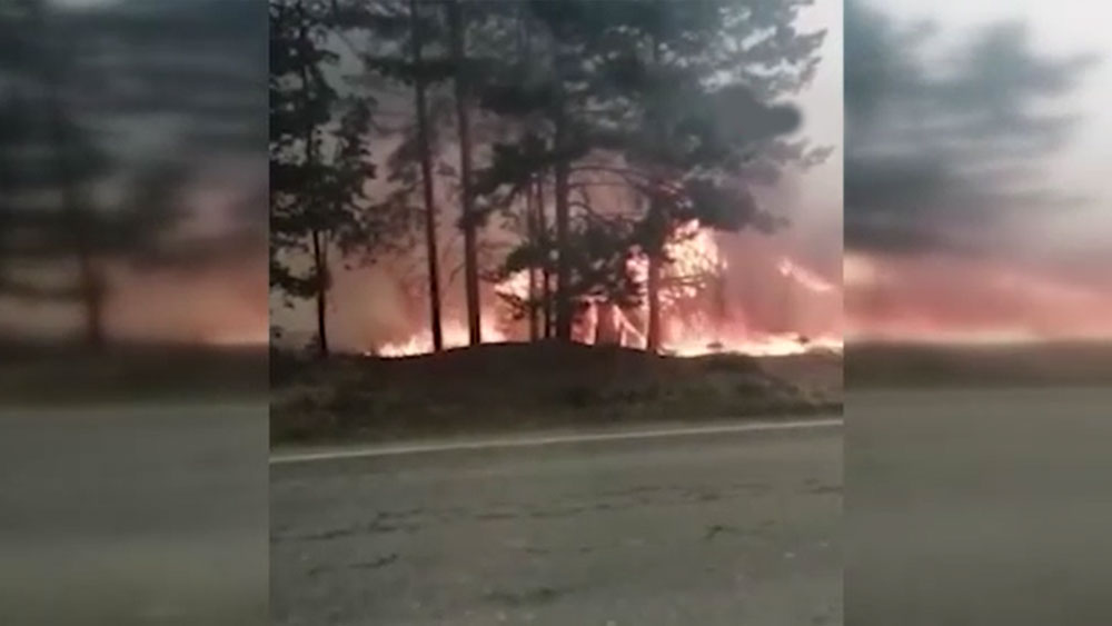 Ormanda çıkan yangın barut deposuna sıçradı