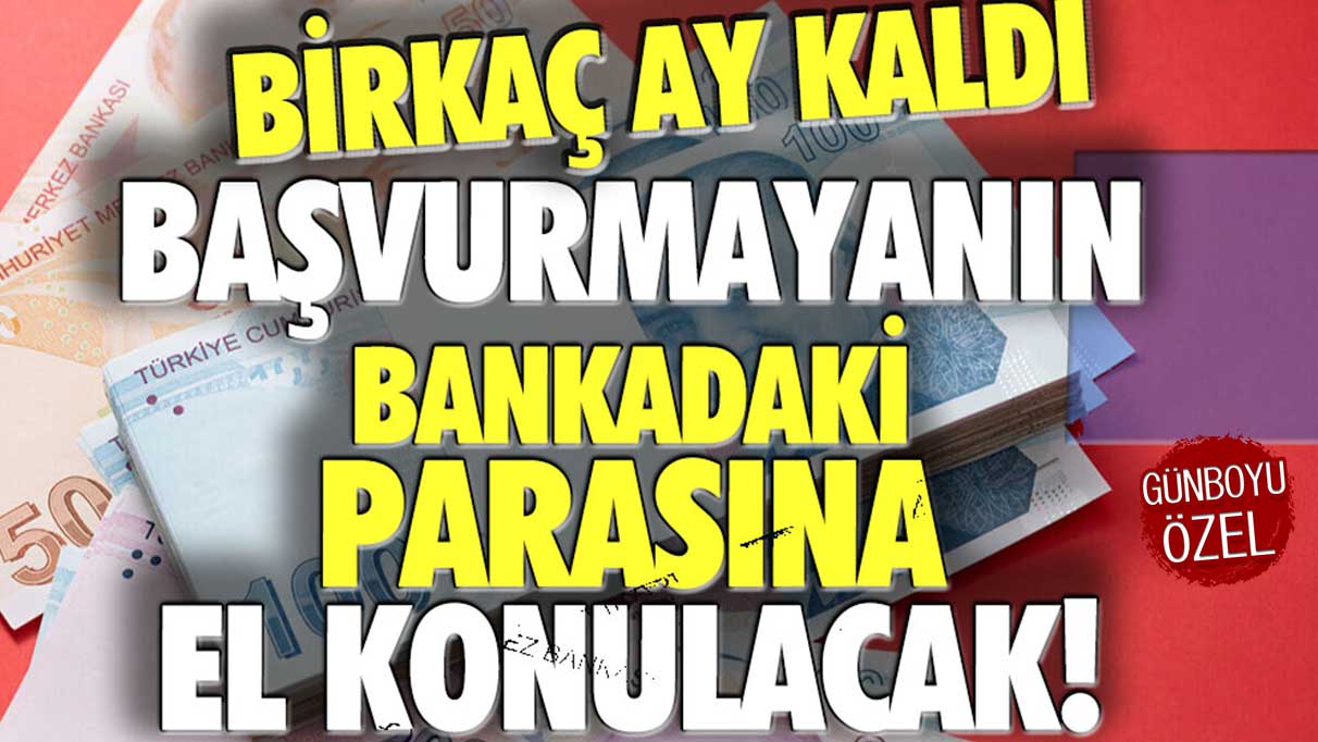 Başvurmayanın banka hesabındaki tüm para silinecek! Resmen açıklandı