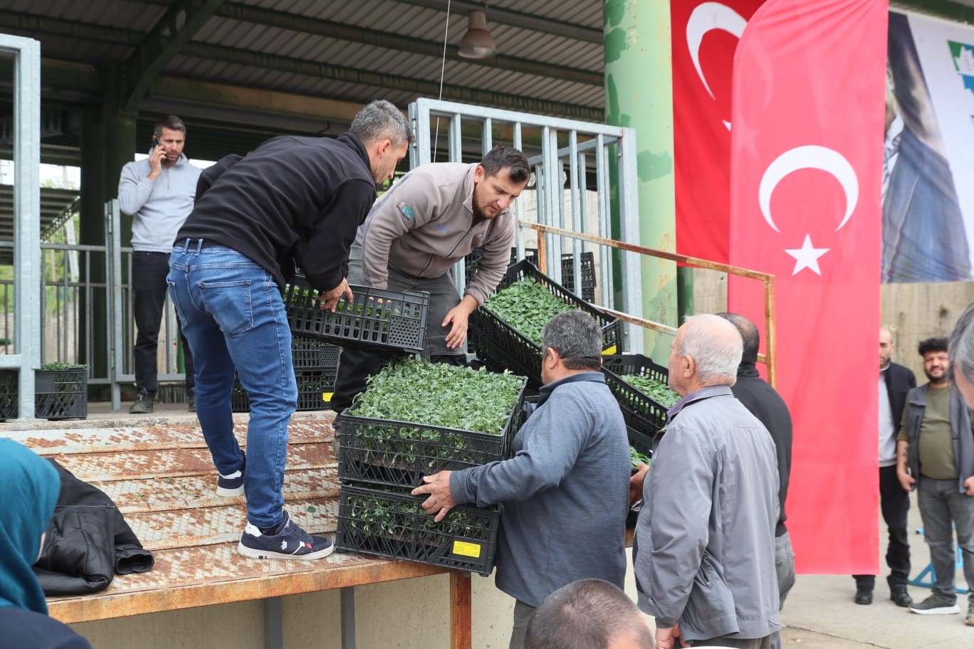 Çiftçiye yüzde yüz hibeli fide desteği