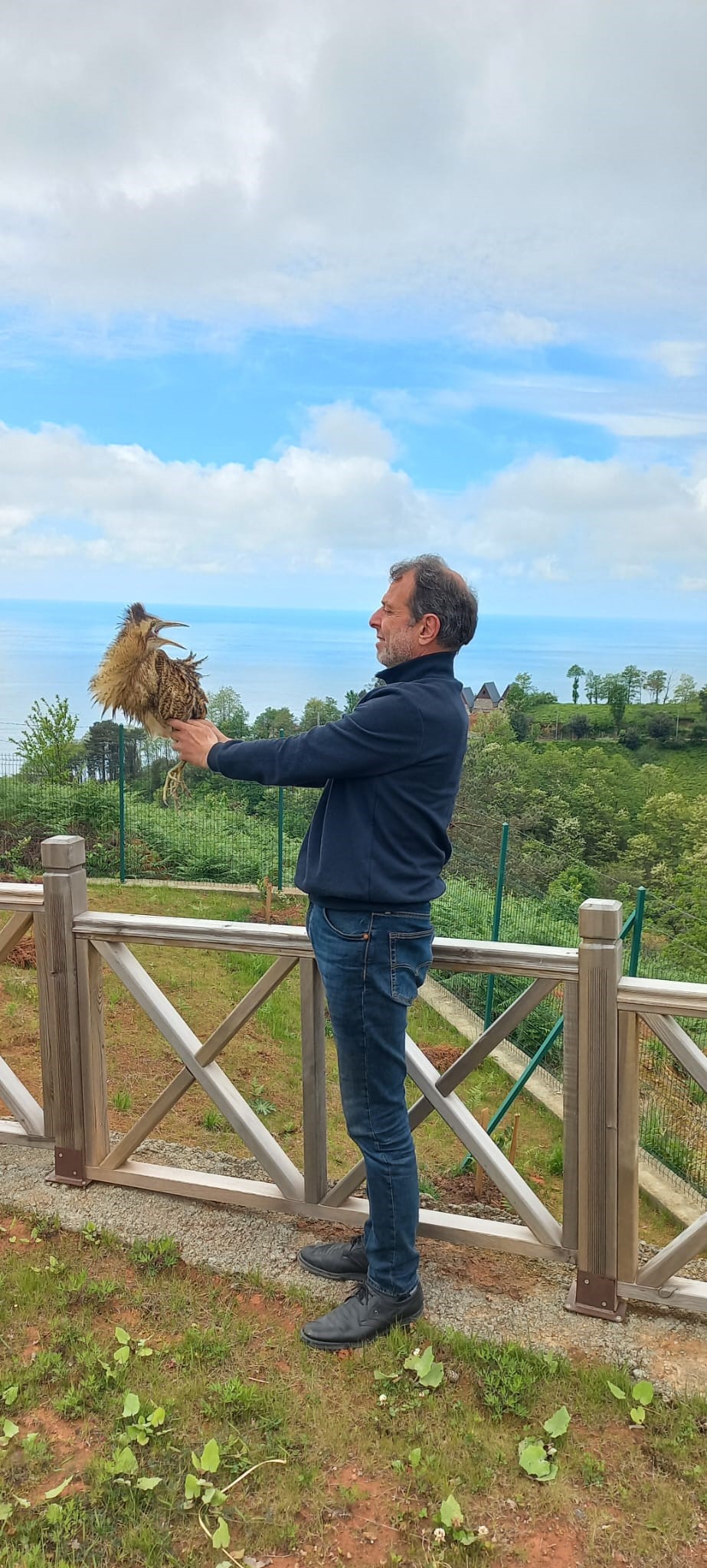 Nesli tükenmek üzere: Artvin’de ortaya çıktı