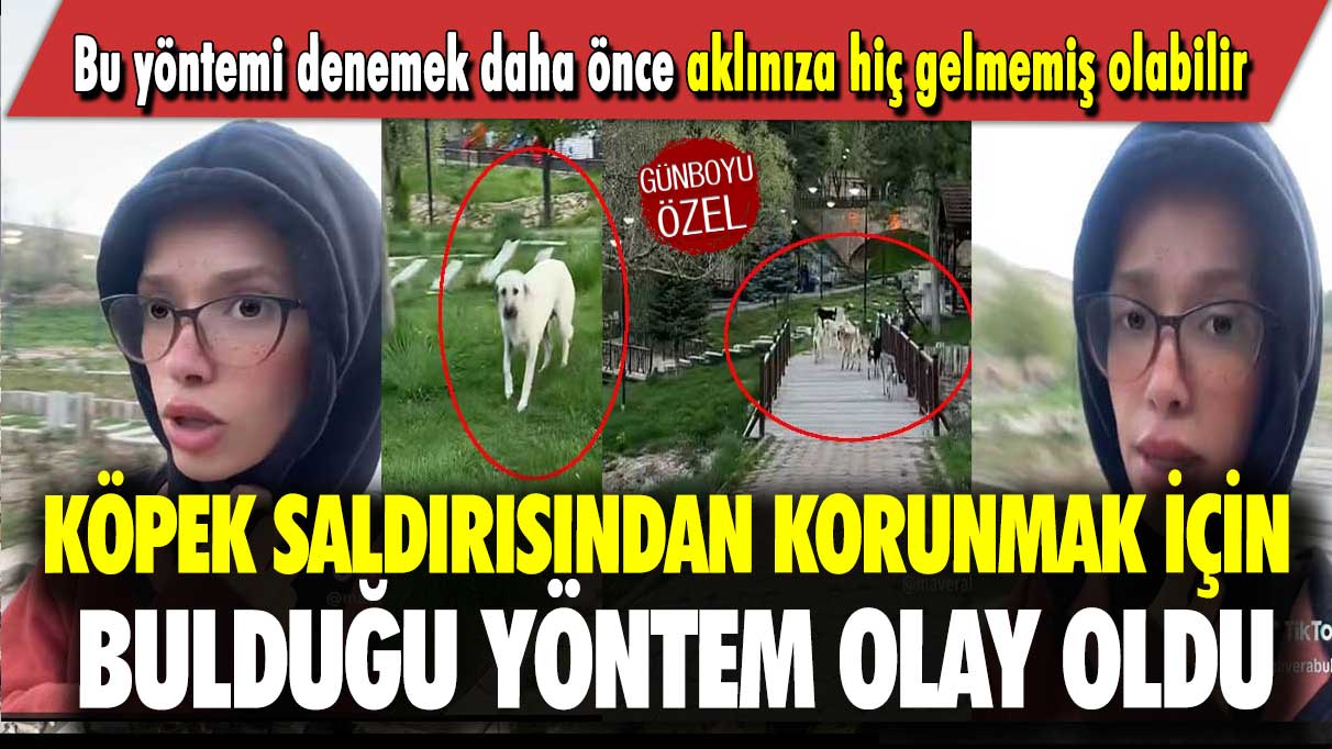 Köpek saldırısından korunmak için bulduğu yöntem olay oldu: Bunu denemek daha önce aklınıza hiç gelmemiş olabilir