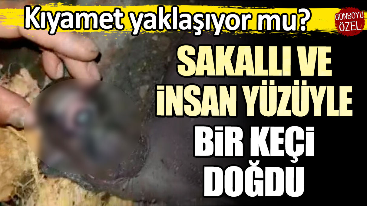 Kıyamet yaklaşıyor mu: Sakallı ve insan yüzlü keçi doğdu!