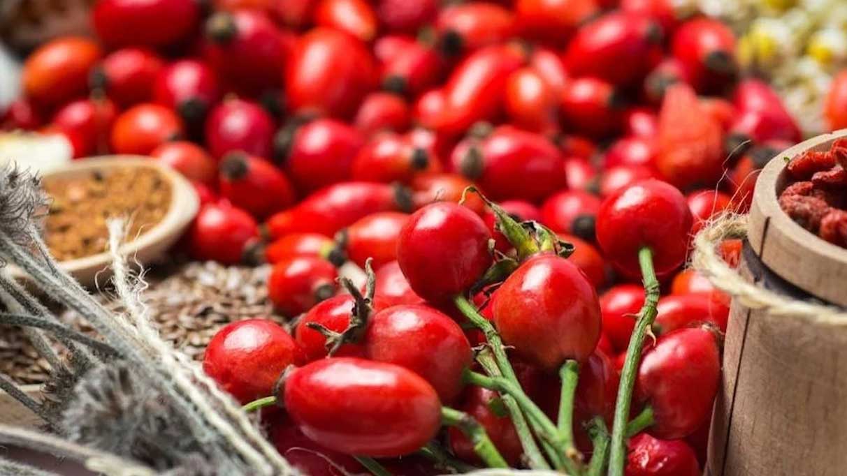 Rüyada kuşburnu toplamak ne anlama gelir