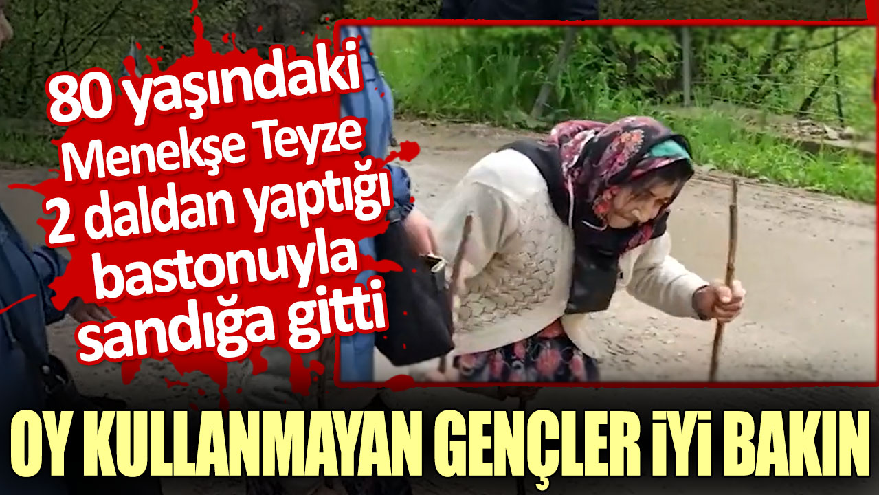 80 yaşındaki Menekşe Teyze 2 daldan yaptığı bastonuyla sandığa gitti