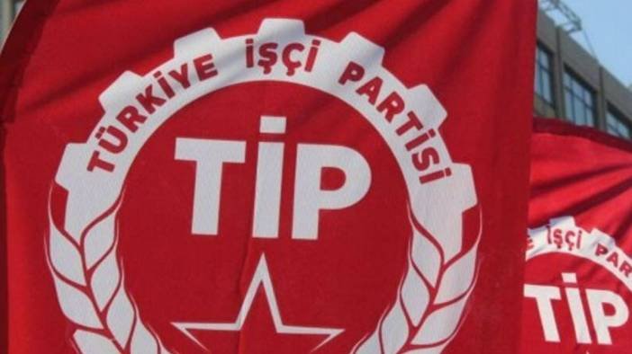 Türkiye İşçi Partisi kaç milletvekili çıkarttı?