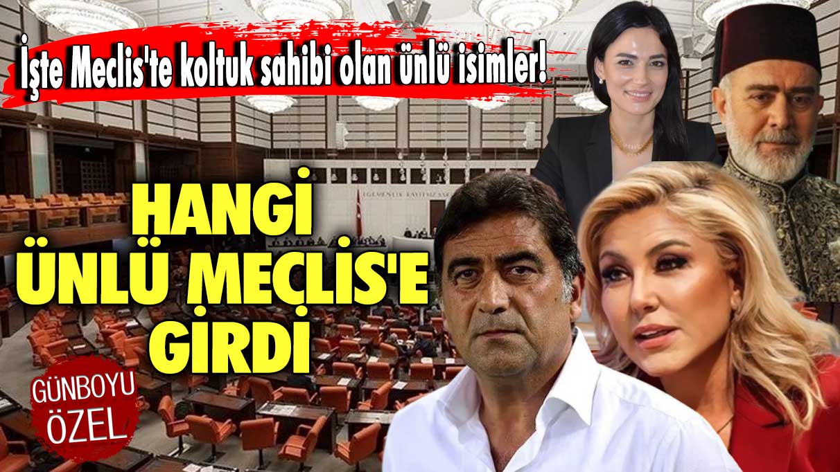 İşte Meclis'te koltuk sahibi olan ünlü isimler! Hangi ünlü Meclis'e girdi