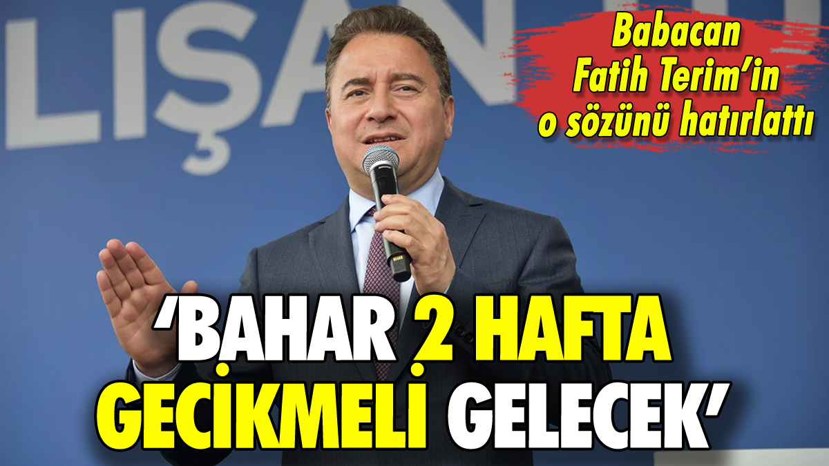 Babacan'dan seçim yorumu: 'Bahar 2 hafta gecikmeli gelecek'